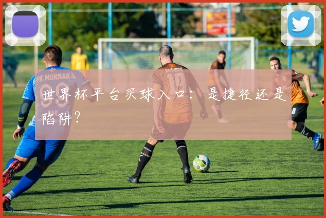 世界杯平台买球入口:是捷径还是陷阱?