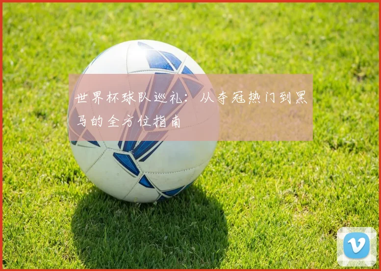 世界杯球队巡礼：从夺冠热门到黑马的全方位指南