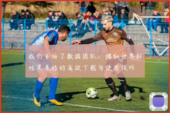 我们专访了数据团队，揭秘世界杯结果表格的高效下载与使用技巧