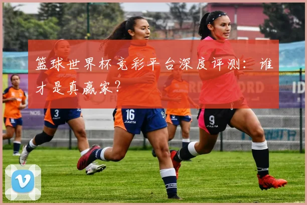 篮球世界杯竞彩平台深度评测：谁才是真赢家？