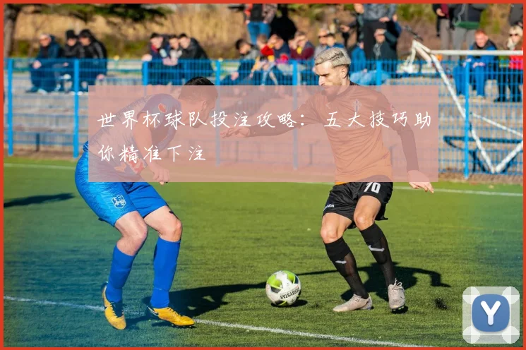 世界杯球队投注攻略：五大技巧助你精准下注