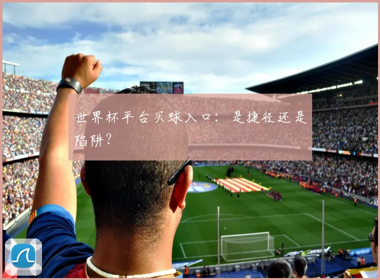 世界杯平台买球入口：是捷径还是陷阱？